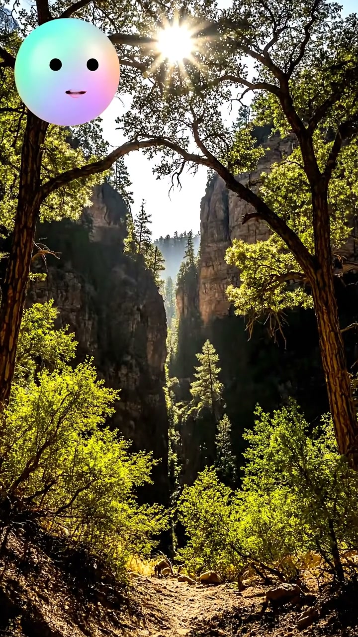 El aullido que sana los bosques
