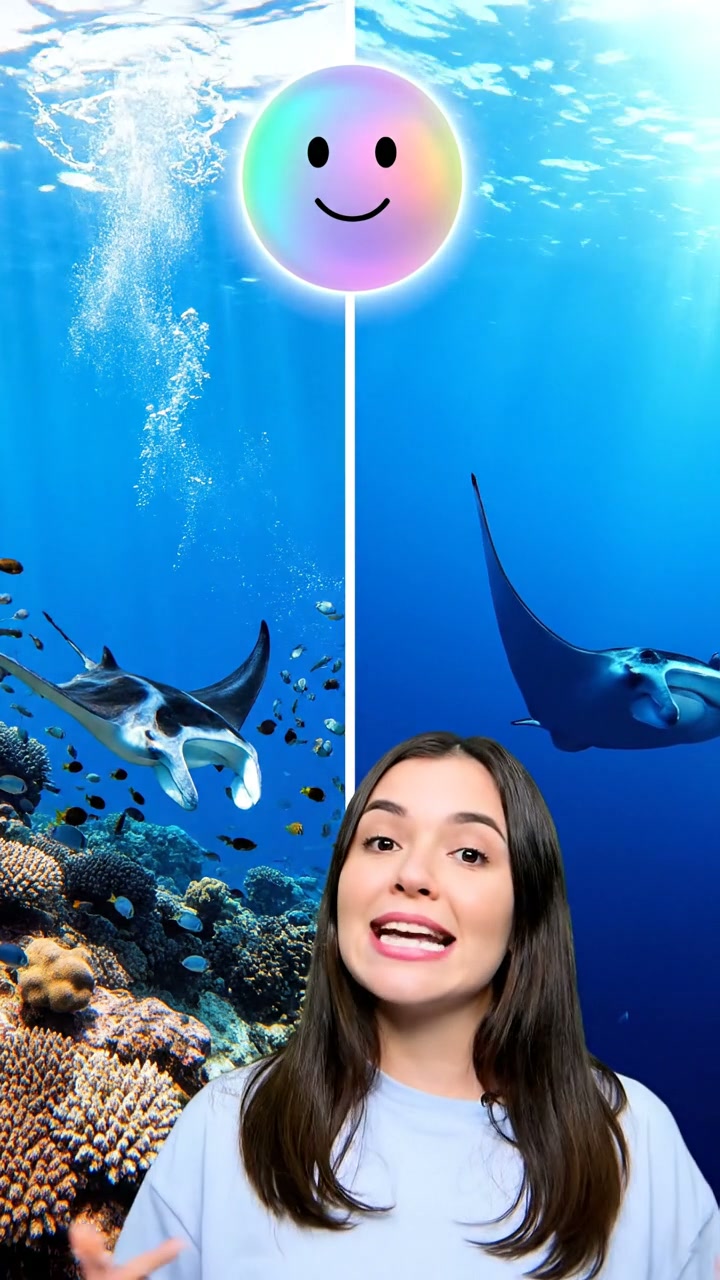 La diferencia entre mantas gigantes y de arrecife